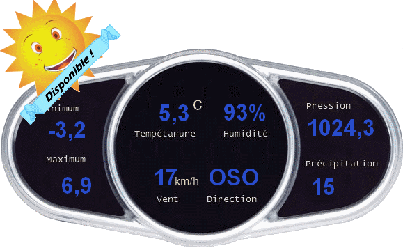 Module Gizmo en taille réelle